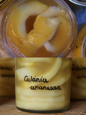 Cukinia ananasowa, czyli przetwory niecodzienne 