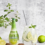 Virgin mojito –...