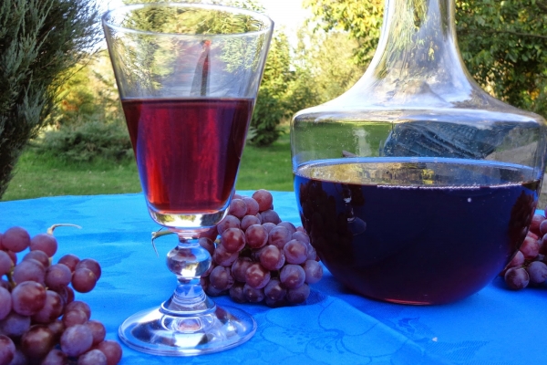Wino gronowe czerwone „Mocarne”