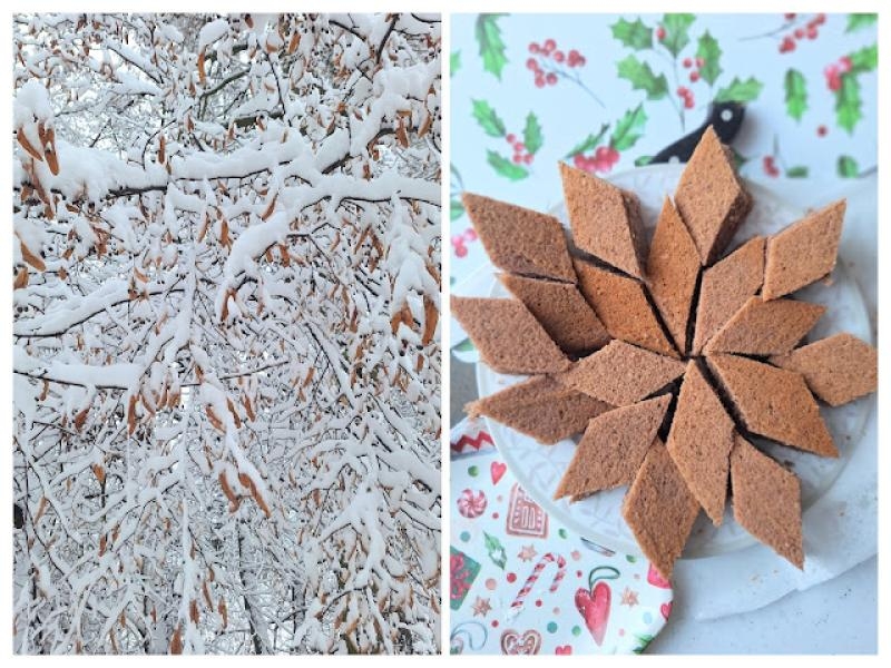 Niemieckie ciasto korzenne