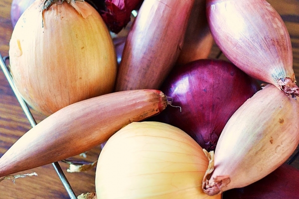 Jak uniknąć łez przy krojeniu cebuli ?