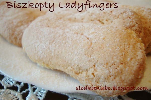 Biszkopty Ladyfingers