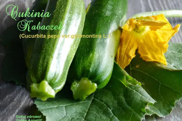 Cukinia - niedoceniana, a bardzo zdrowa