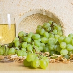 Czym charakteryzuje się...