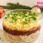 Szuba – domowa,...