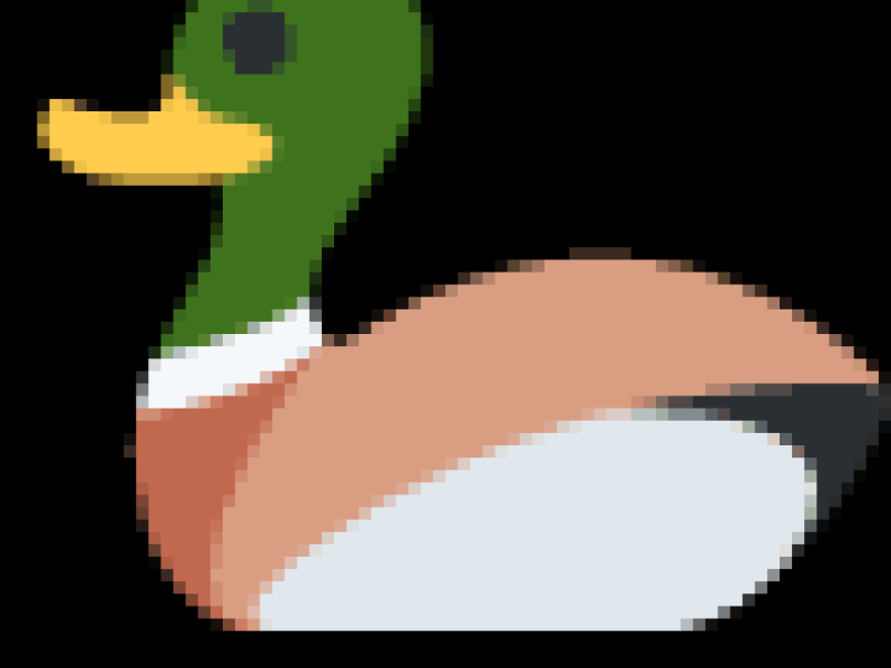 Pieczona pierś z kaczki