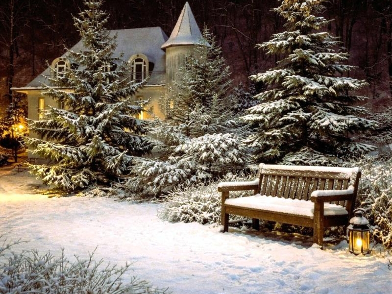 Nowy rok w Furtce do ogrodu