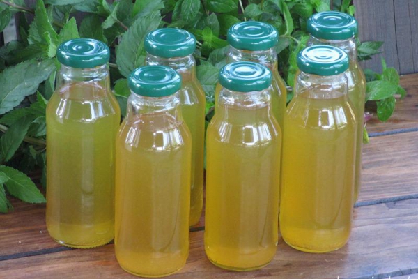Syrop z mięty