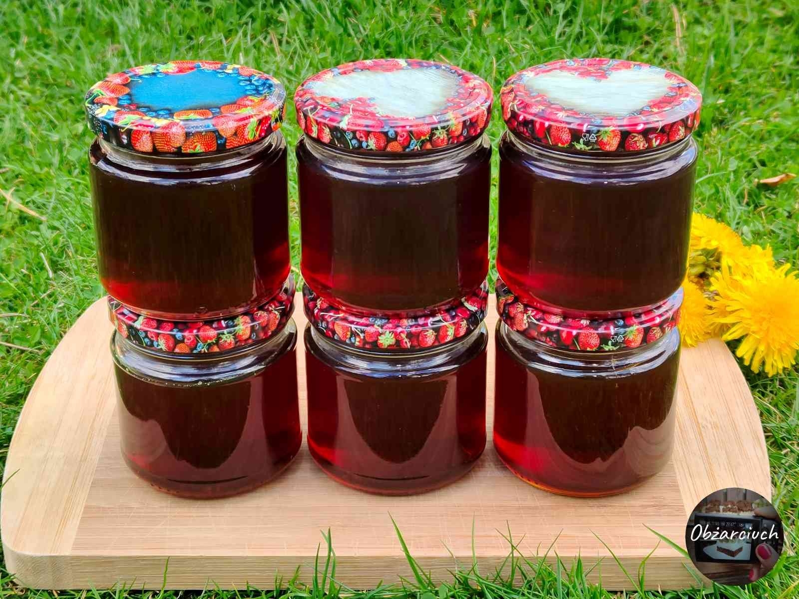 Mniszek lekarski: płynne złoto z łąki na kaszel