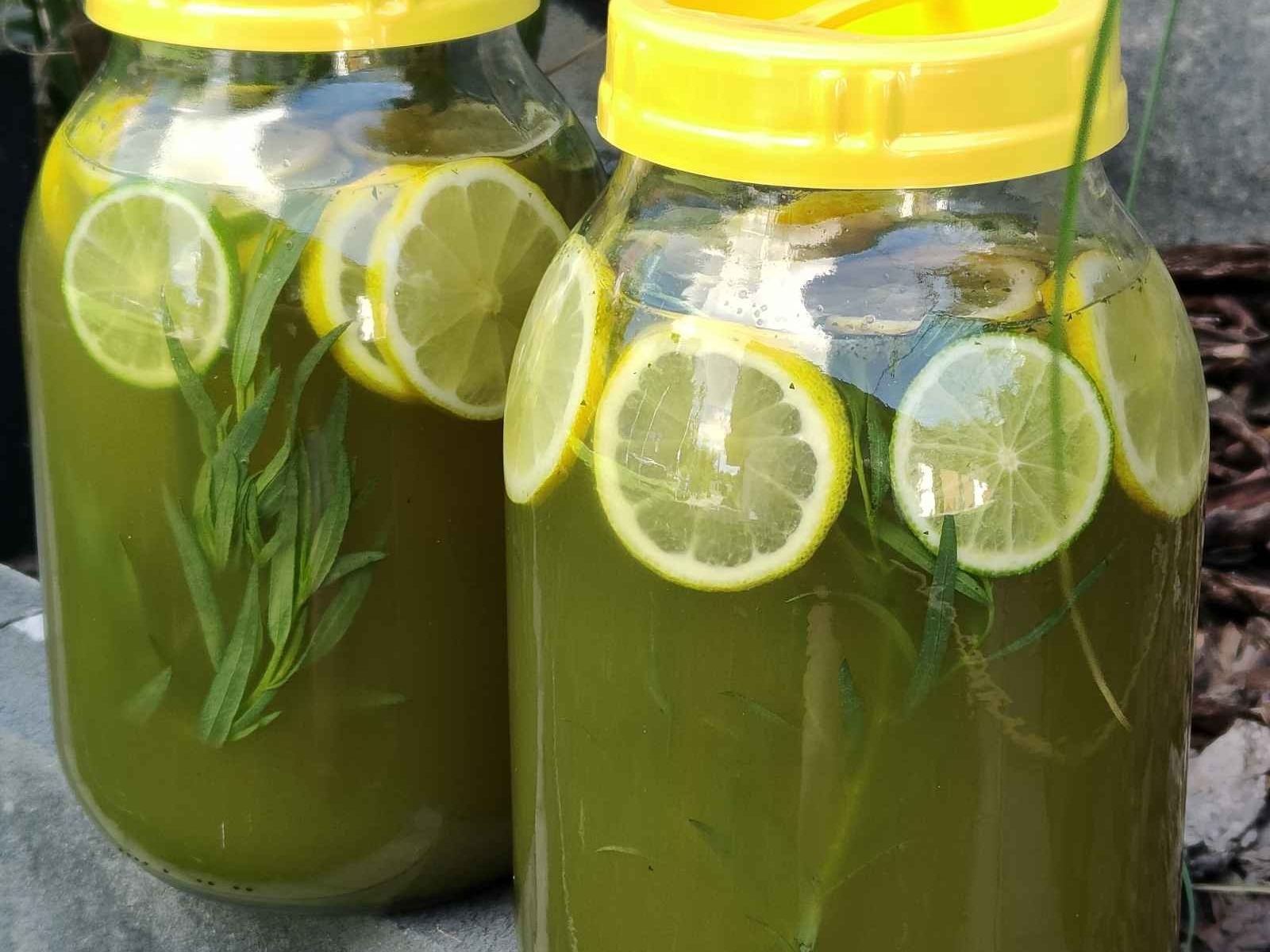 Gruzińska lemoniada z estragonu (Tarchun) – jak zrobić zielony kolor bez barwników?