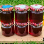 Mniszek lekarski:...