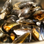 Moules Marinieres/Mule w...