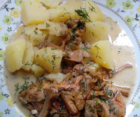 Błyskawiczne piątki - Kurczak w sosie kurkowym 