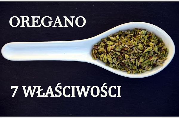 7 powodów, dla których warto spożywać OREGANO