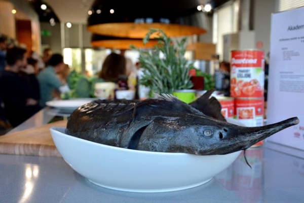 Relacja z warsztatów kulinarnych Akademii Smaku Bosch - ryby i owoce morza