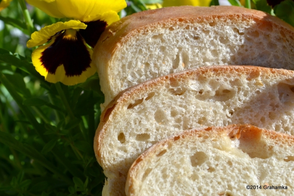 Lecytal - wyborowy chleb pszenny