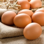 Jajka - dlaczego warto...
