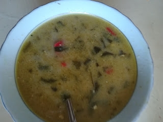 zupa z dzikiego szczawiu