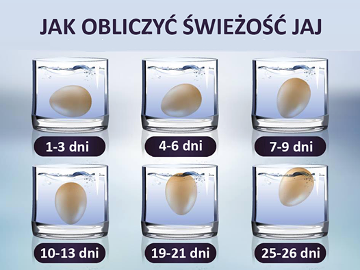 świeżość jajka