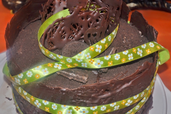 Tort czekoladowo-makowy 
