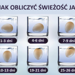 świeżość jajka