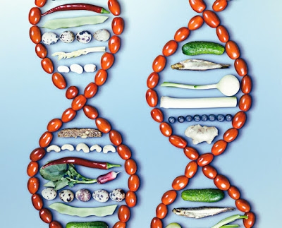 DNA prawdę powie – badania genetyczne drogą do zdrowia i dobrej kondycji