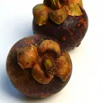 Mangostan (owoc)