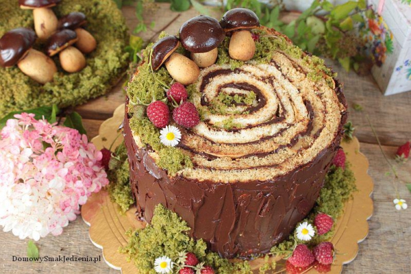 tort pień drzewa