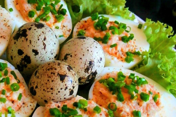 Jaja faszerowane pastą z Tuńczyka
