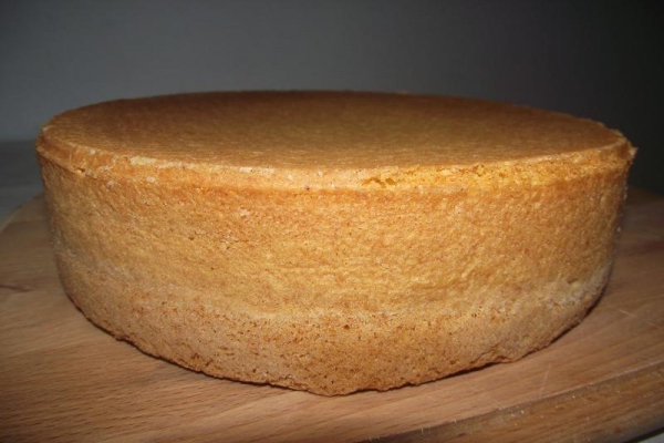 Biszkopt podstawowy