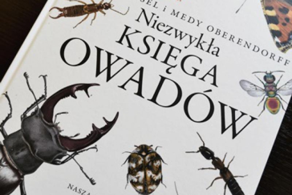 Niezwykła księga owadów , Bart Rossel - recenzja książki.