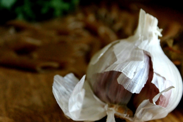 Penne w sosie musztardowym ze szpinakiem i jarmużem