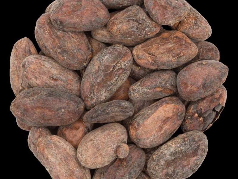 Nasiona kakaowca – co warto wiedzieć?