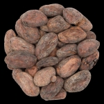 Nasiona kakaowca – co...