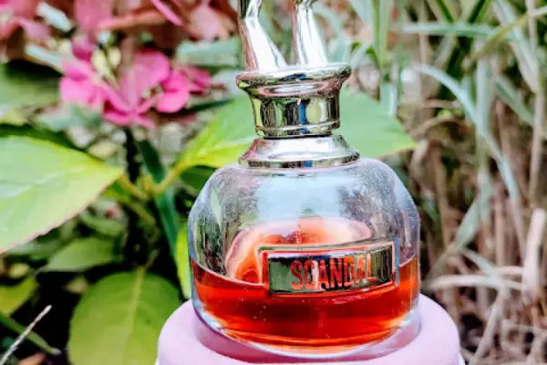 Zapach idealny na jesień - zestawienie perfum idealnych na jesień