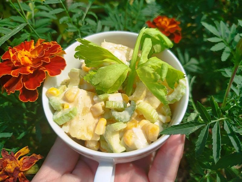 Sałatka z selera naciowego