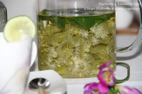 Herbata z kwiatów lipy i kawałek drewnianego Mazowsza
