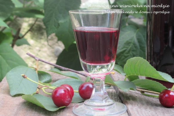 Aromatyczna wiśniówka na miodzie