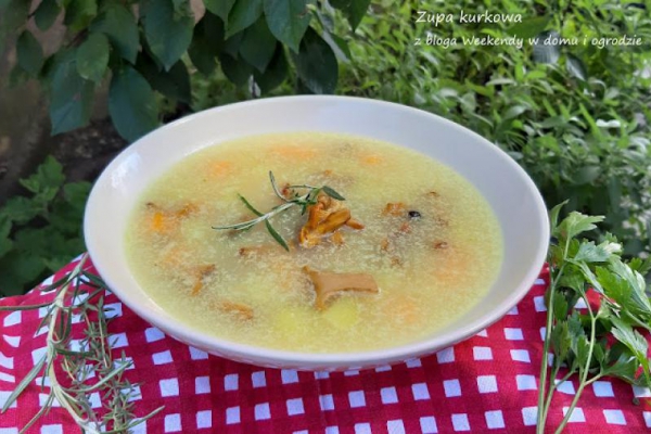 Zupa kurkowa
