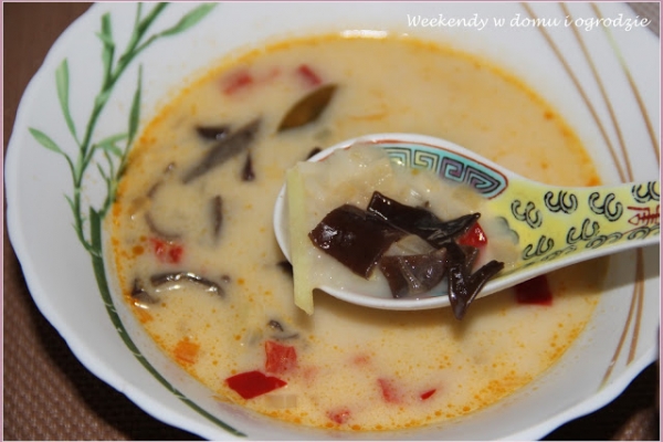 Zupa w tajskim stylu i 