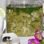 Herbata z kwiatów lipy...