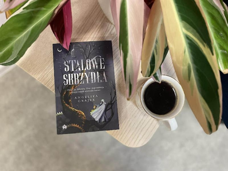 Stalowe skrzydła – Angelika Grajek