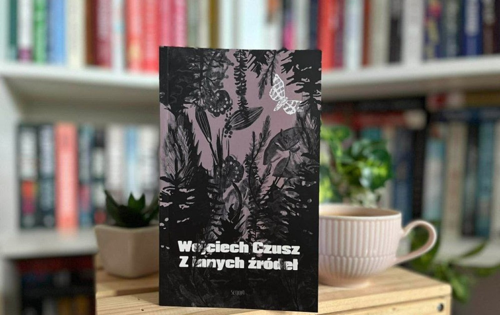 Z innych źródeł – Wojciech Czusz