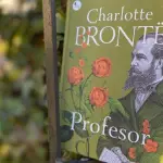 Profesor – Charlotte...