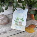 Rok wśród kwiatów –...