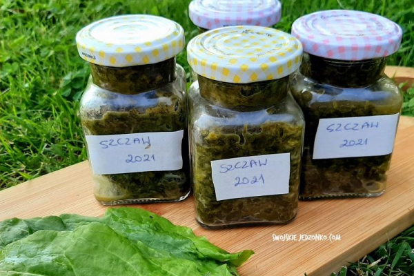 Szczaw na zimę do słoików