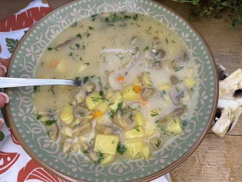 Zupa pieczarkowa - prosty przepis