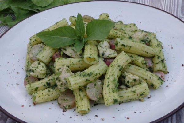 Makaron z pesto z rzodkiewki