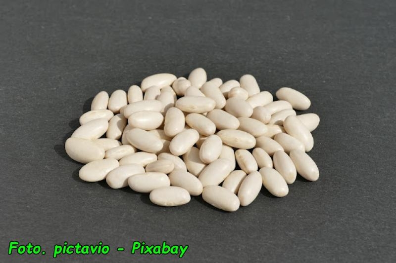 Jak przechowywać suchą fasolę.