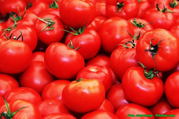 Prosty przecier pomidorowy ( bez długiego gotowania ).
